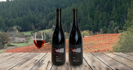 Costa Vineyard Comptche Estate Mendocino Pinot 2021